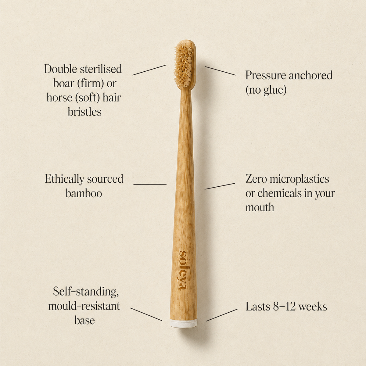 Your eco toothbrush still brushes with plastic. This one doesn't.